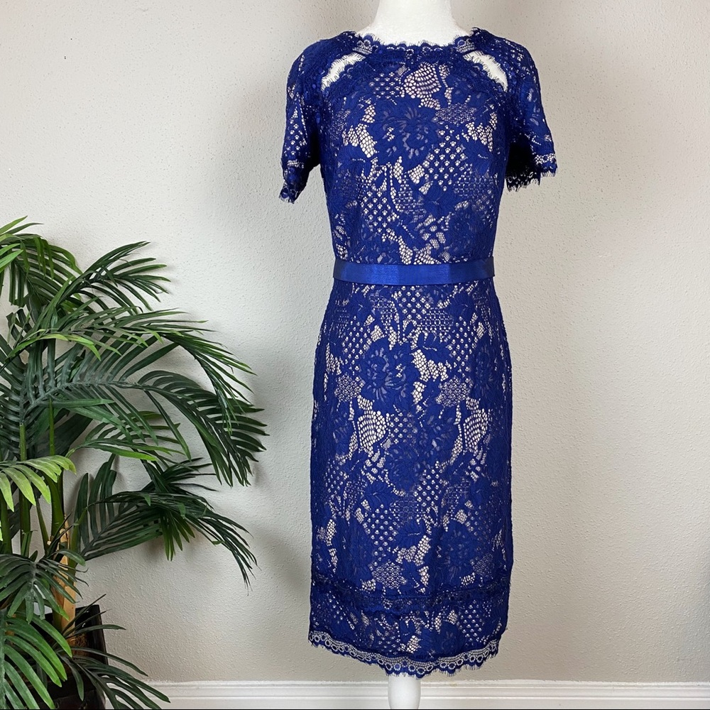 Tadashi Shoji Royal Blue Lace Midi Dress